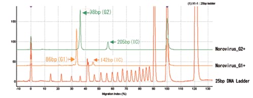 Electropherogram of Samples Treated with G1 and G2 Norovirus Detection Reagent Kit