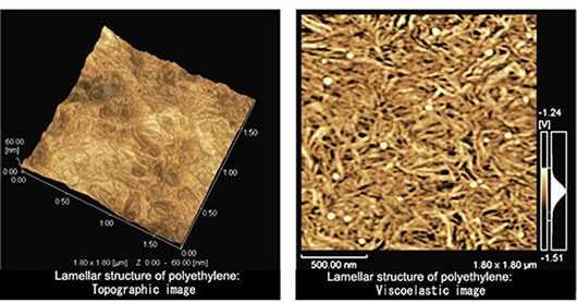 Observation of Lamellar Structure of Polyethylene Film
