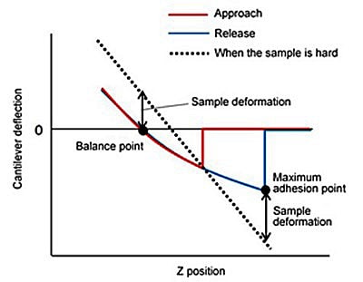 Force Curve of a Soft Sample