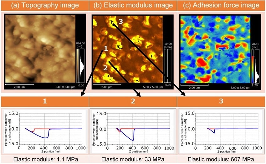 Mapping of Elastic Modulus and Adhesion Force