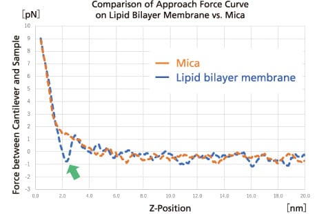 Comparison of Approach Force Curve on Lipid Bilayer Membrane vs. Mica