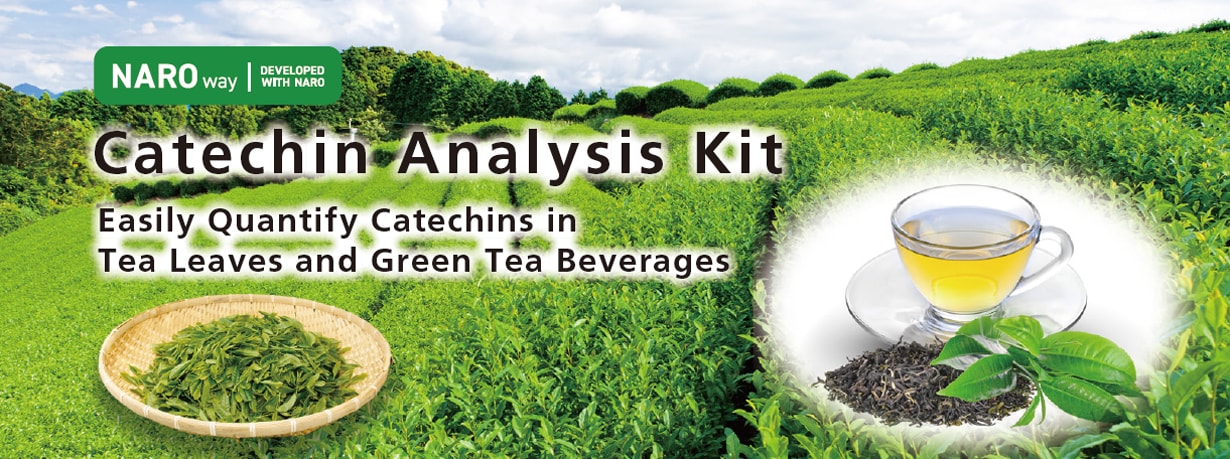 Catechin Analysis Kit
