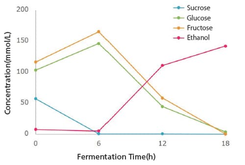Fermentation Monitoring Results
