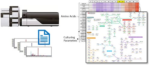 Visualization of Cell Culture Status by Metabolomic Analysis