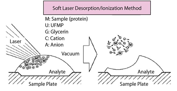 Soft Laser Desorption/Ionization Method