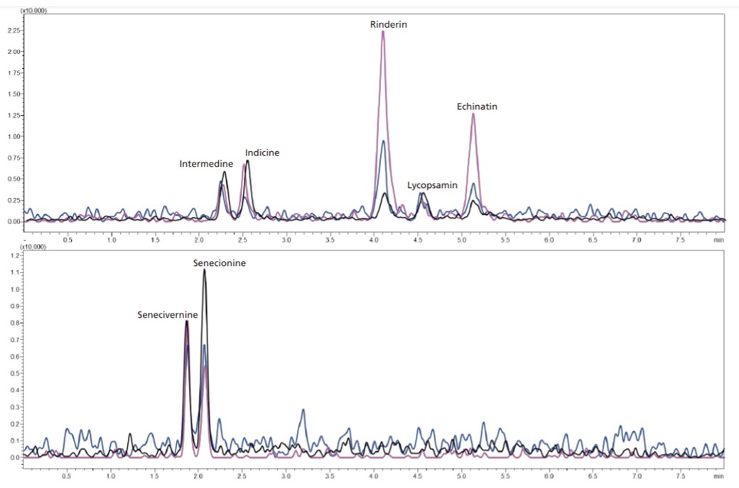 Figure 3: Chromatograms of the separated Lycopsamin and Senecionine isomers