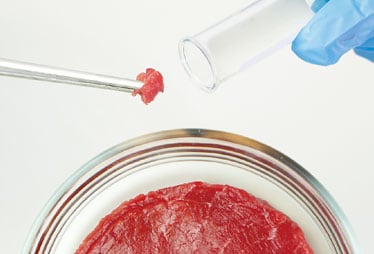 From Lab to Kitchen: Cultured Marbled Meat Featured at Osaka-Kansai Expo 2025