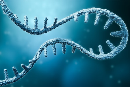 mRNA Therapeutics and Vaccines