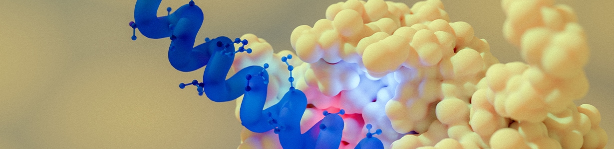 Peptide Therapeutics