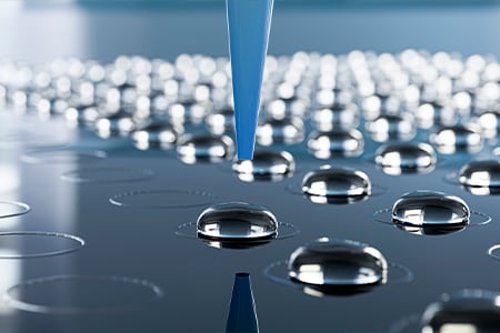 Confirmation of Molecular Weight and Amino Acid Sequence