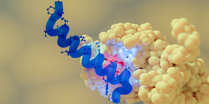 Peptide Therapeutics
