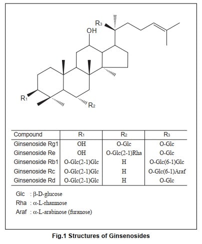Structures of Ginsenosides
