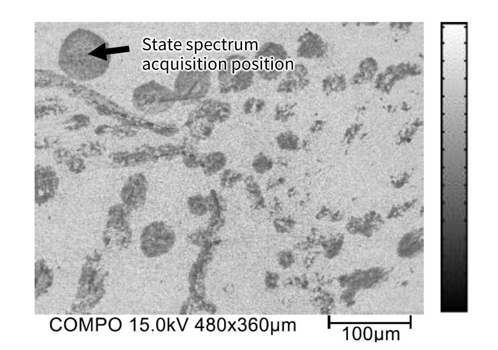 Fig. 19&nbsp;Reflected Electron Image of the Peeled Surface