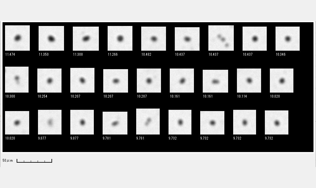 Fig. 5 Particle Images