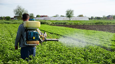 Analysis of Pesticides