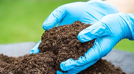 Organic Compounds in Soil