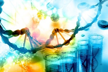 Metabolites Produced by Gut Microbiota