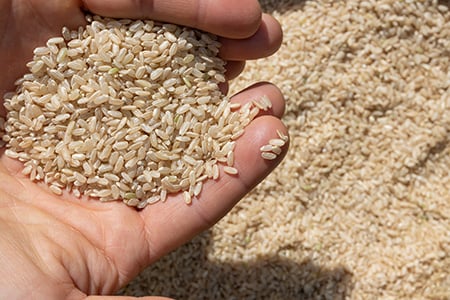 brown rice