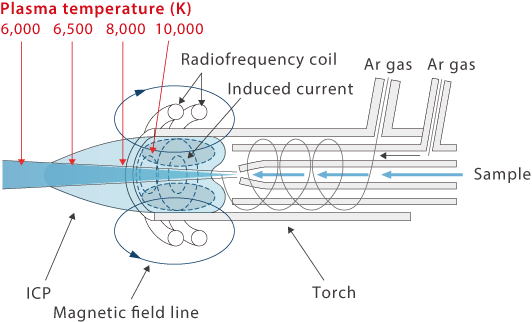 Coil Image