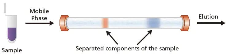 fundamental_lcms_img002