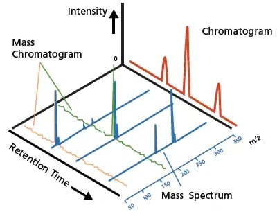 fundamental_lcms_img003