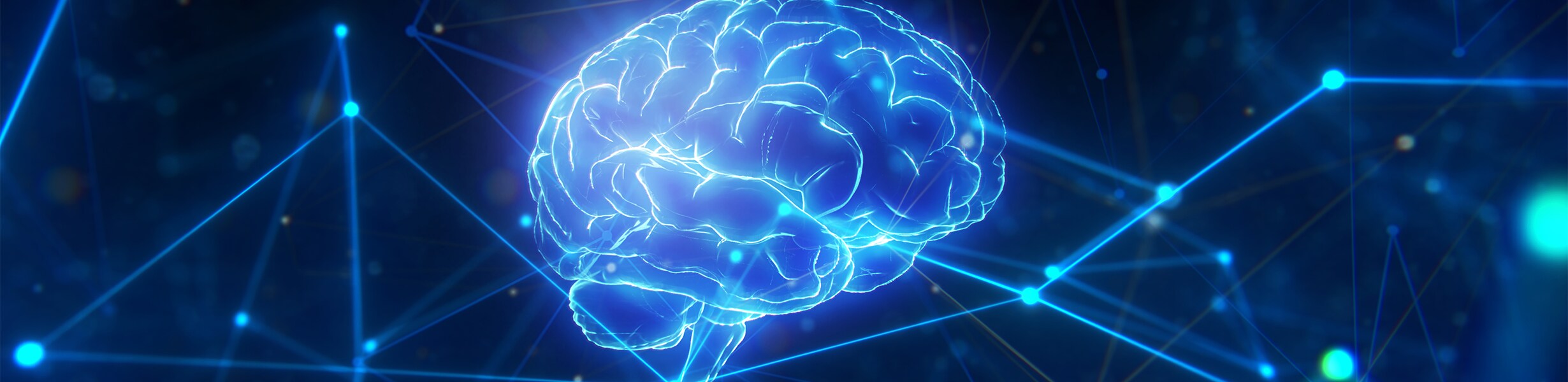 Life Science - Brain-Function Imaging