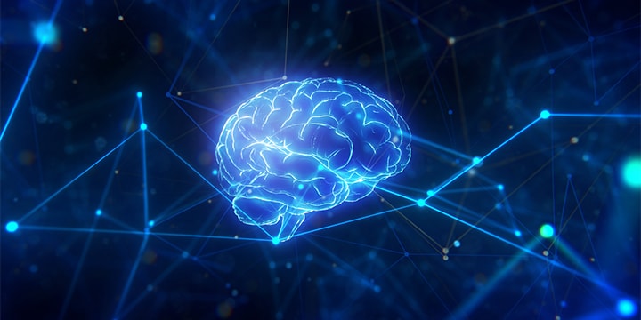 Life Science - Brain-Function Imaging