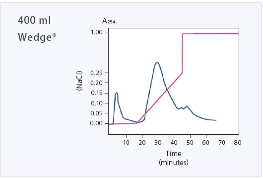 Example of scale-up