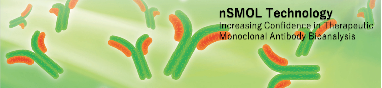 nSMOL Monoclonal Antibody Bioanalysis
