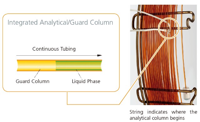Integrated Analytical/Guard Column
