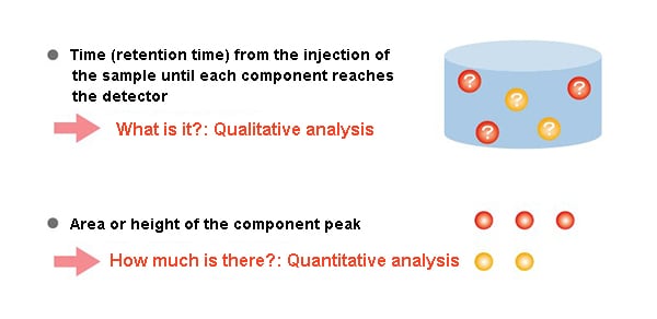 Accurate Quantification of CO by GC-FID and Polyarc - Quantum Analytics