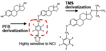 PFB and TMS Derivatization of ß-Estradiol 