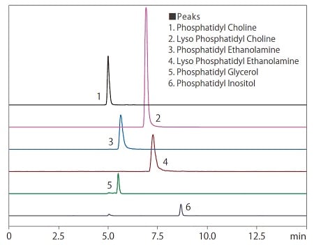 Analysis of Phospholipids
