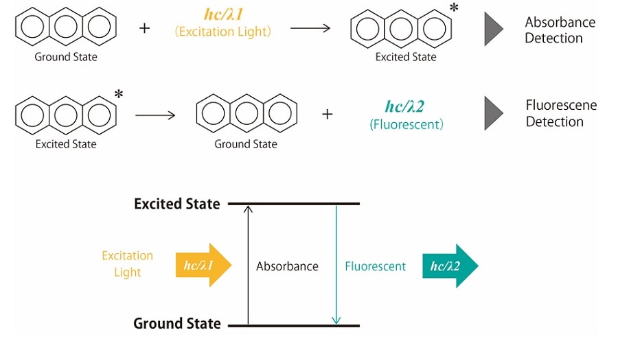 Comparison of fluorescence stability as influenced by temperature