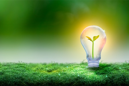 Environmental Analysis