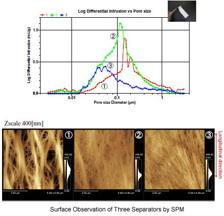 Observations of Separator Pores