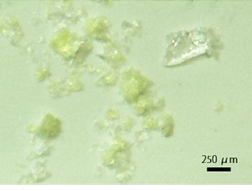 Microplastics on the Filter