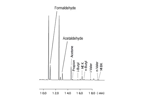 Analysis of Aldehydes in Atmospheric Air