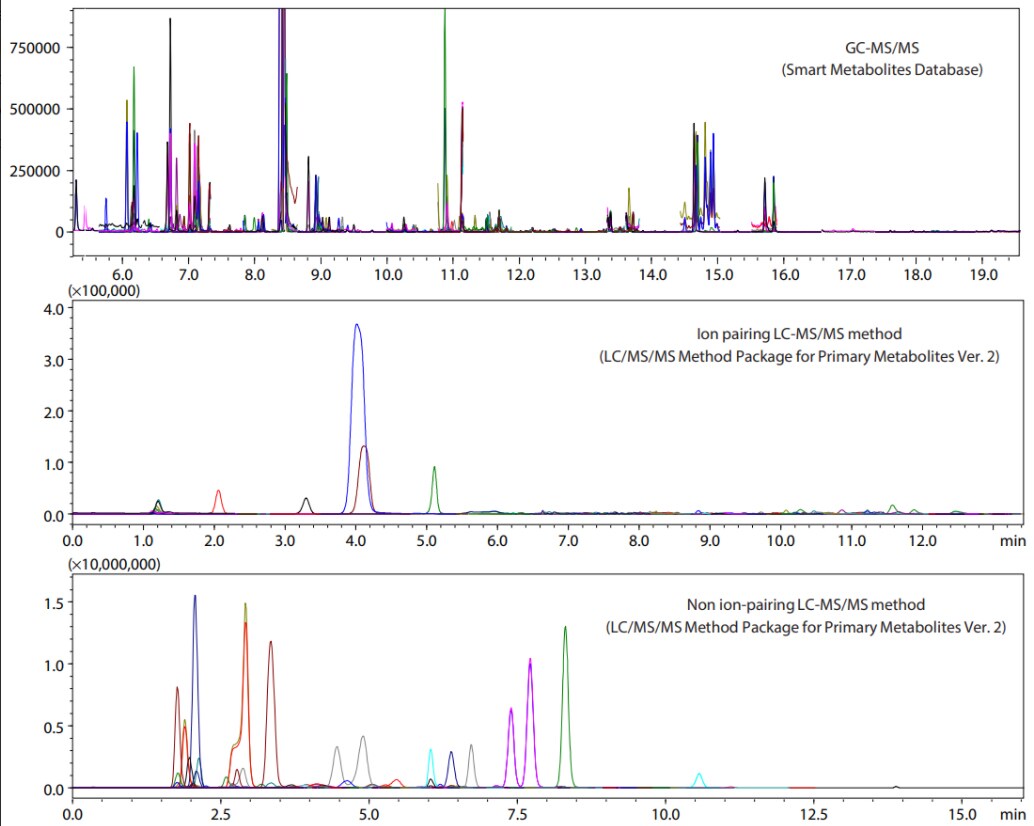 Fig. 3 MRM Chromatograms of Mouse Fecal Extracts