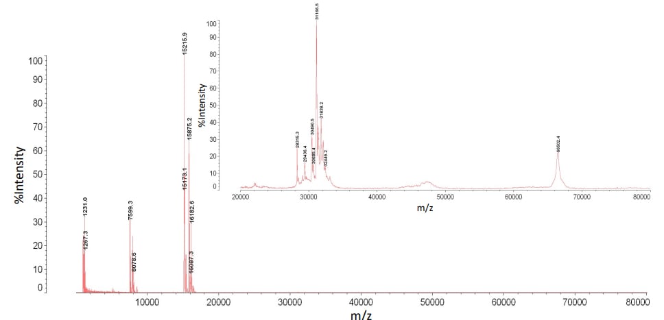 Figure 3: A mass spectrum of mouse plasma analyzed by MALDI-TOF MS after dual filtration (mass range 1 - 80 kDa)