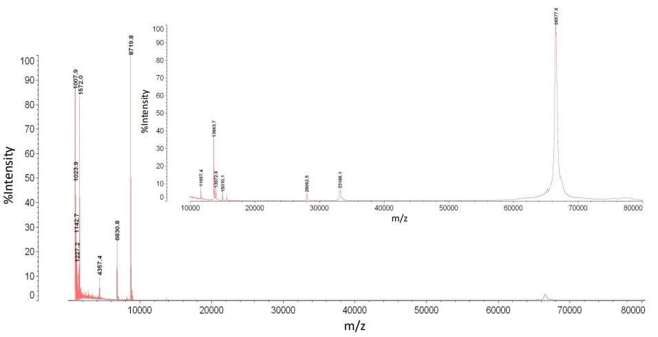 Figure 4: A mass spectrum of mouse serum analyzed by MALDI-TOF MS after dual filtration (mass range 1 - 80 kDa)