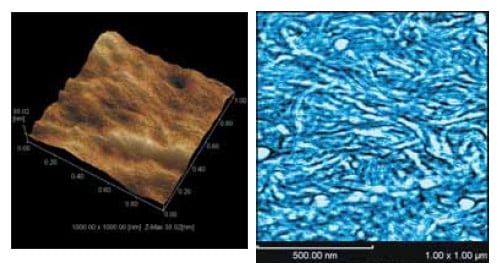 3D Image (Left) and Elasticity Image (Right) of Surface of Polyethylene Film