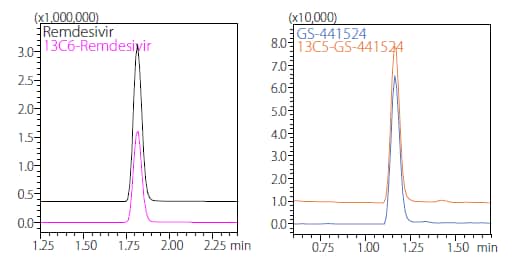 Fig. 3 MS Chromatograms of Remdesivir, [U-Ring-13C6]- Remdesivir (Left) and GS-441524, [13C5]-GS-441524 (Right)
