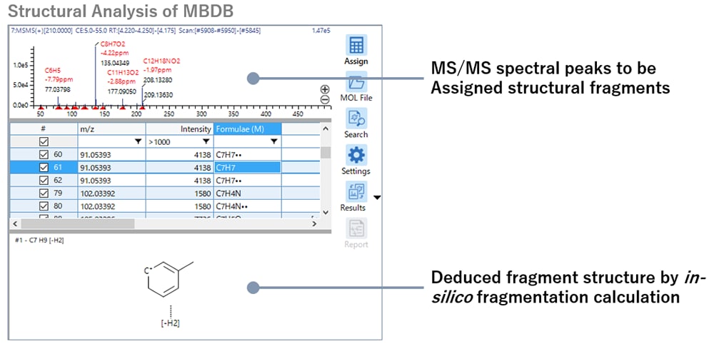 Structural Analysis of MBDB