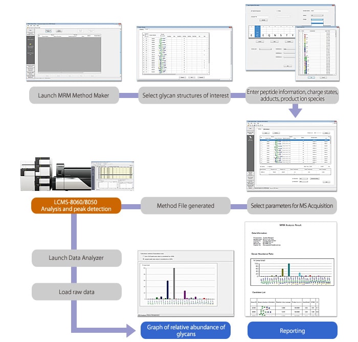 MRM analysis workflow