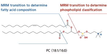 Phospholipid Profiling