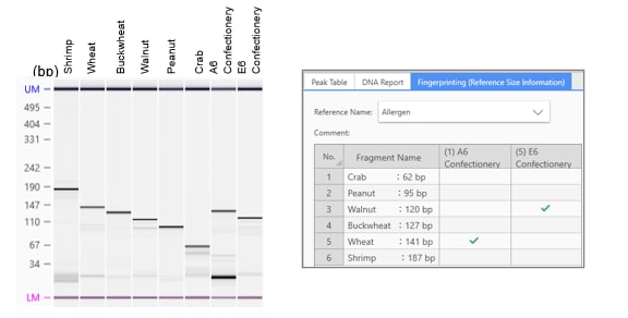 Gel Image and Fingerprinting Analysis of Representative Allergenic Foods