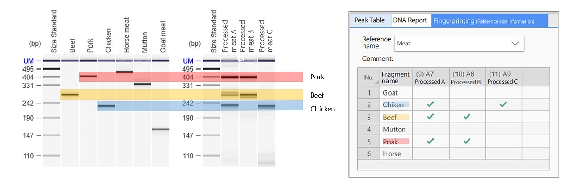 Automated Meat Species Identification by Fingerprinting Analysis