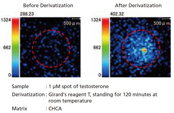 Derivatization Treatment