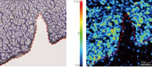 Two-Step Vapor Deposition